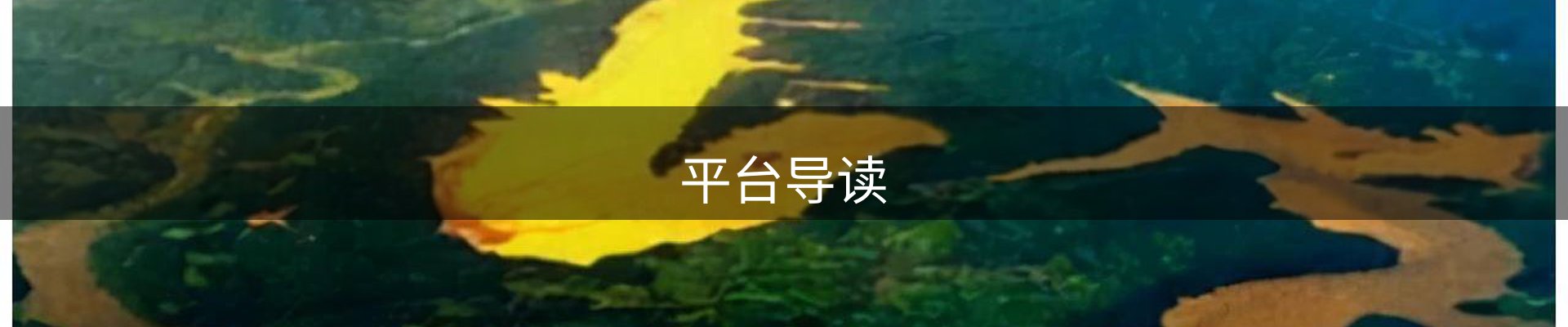 平台导读